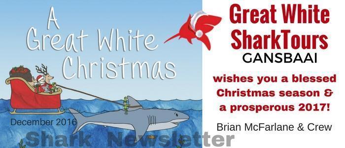 Shark newsletter December